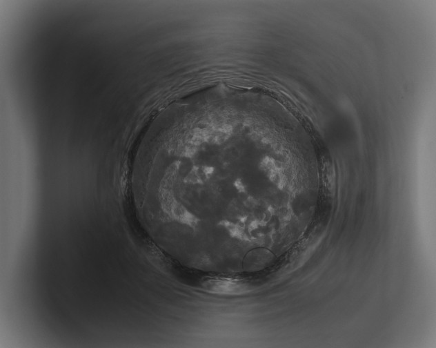 X0000102300507200808011405