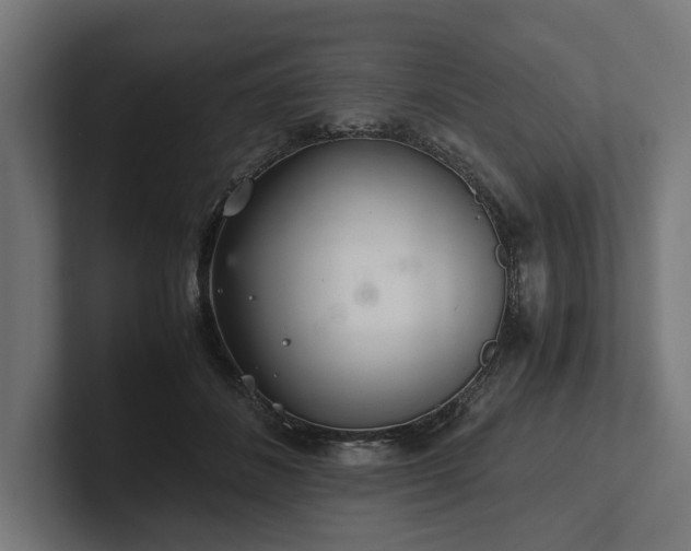 X0000102300508200808011405