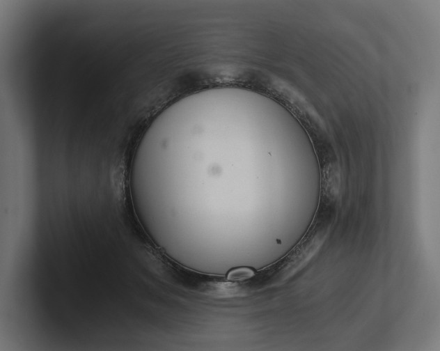 X0000102300509200808011405