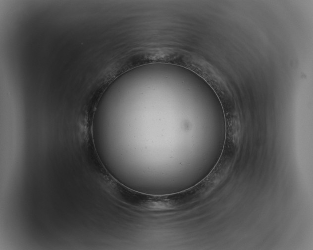 X0000102300510200808011405