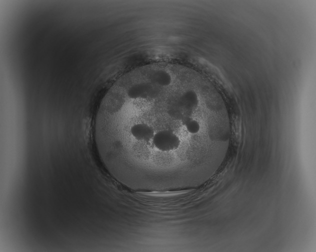 X0000102300511200808011405