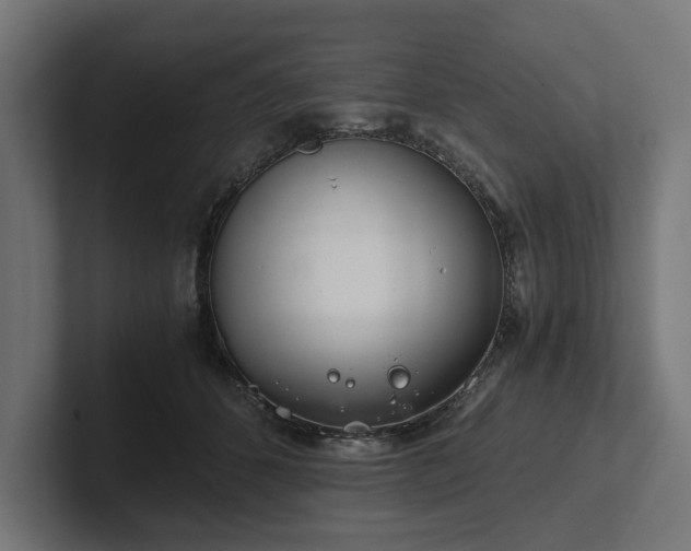 X0000102300512200808011405