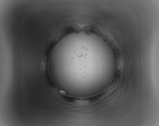 X0000102300515200808011405