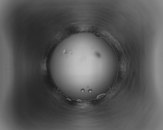 X0000102300516200808011405