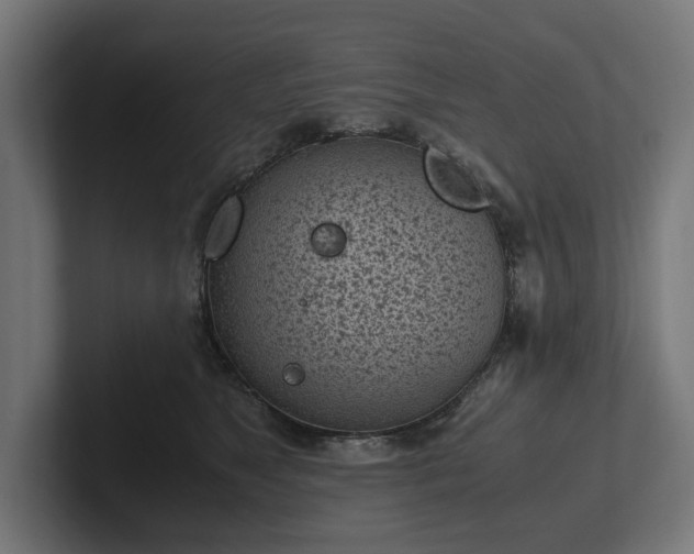 X0000102300517200808011405