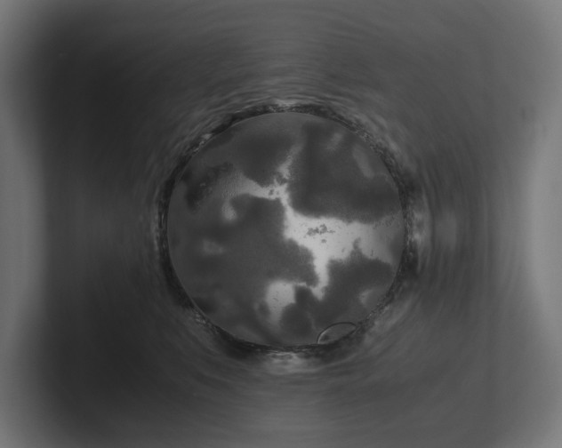 X0000102300519200808011405