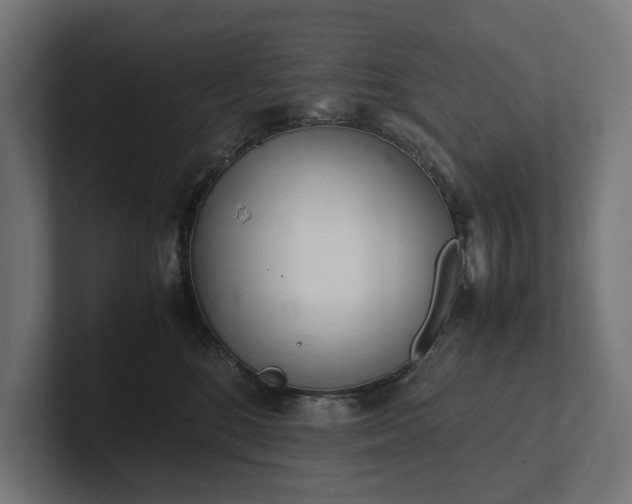 X0000102300520200808011405