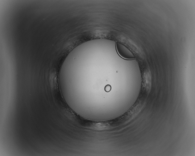 X0000102300522200808011405