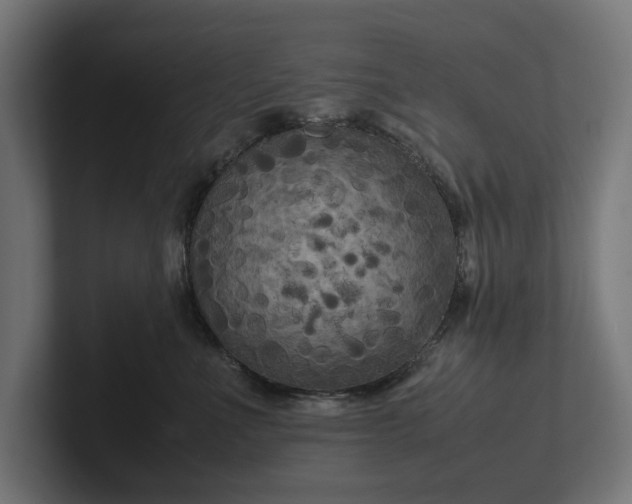 X0000102300523200808011405