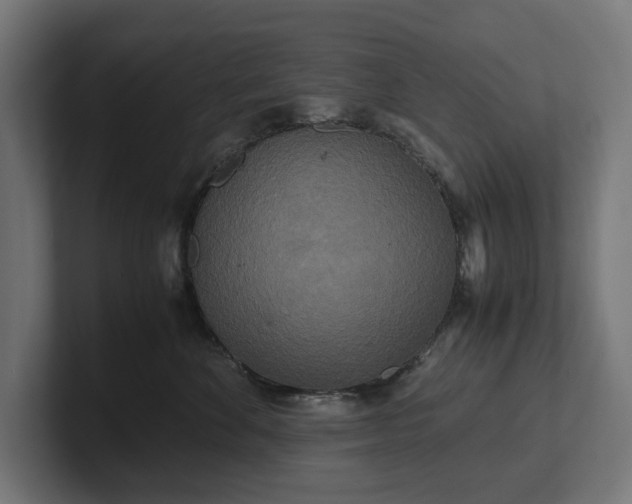 X0000102300524200808011405