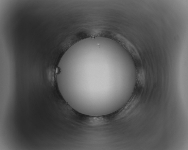 X0000102300525200808011405