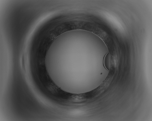 X0000102300526200808011405