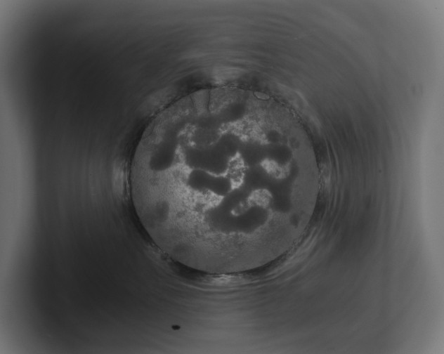 X0000102300527200808011405