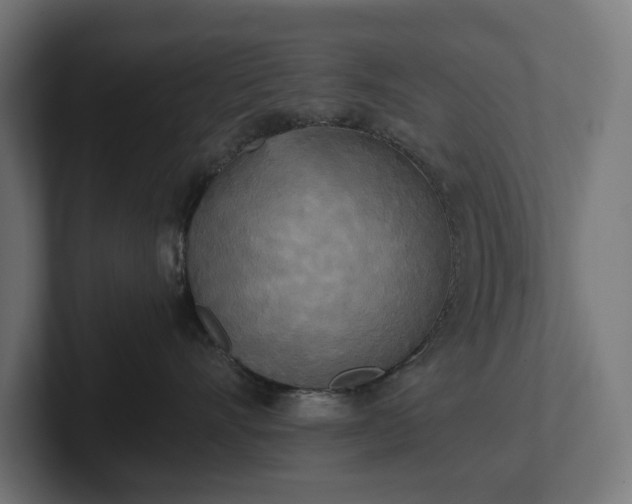 X0000102300528200808011405