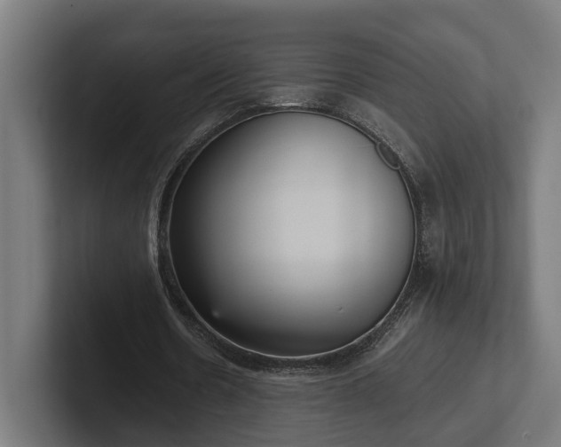 X0000102300530200808011404