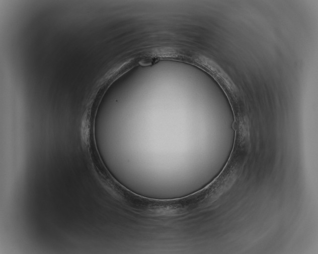 X0000102300533200808011404