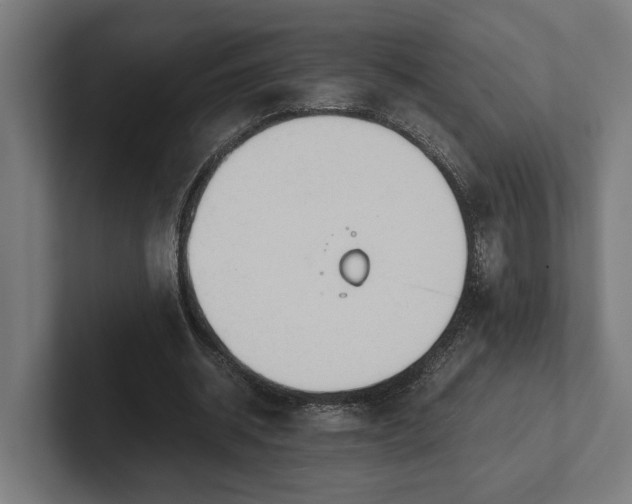 X0000102300534200808011404