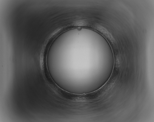 X0000102300535200808011404