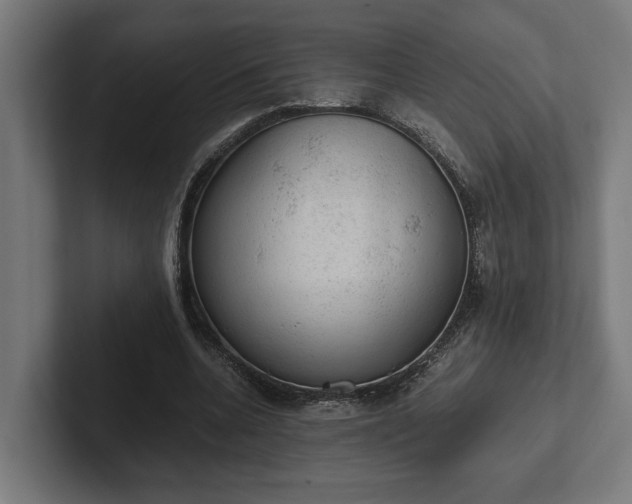 X0000102300536200808011404