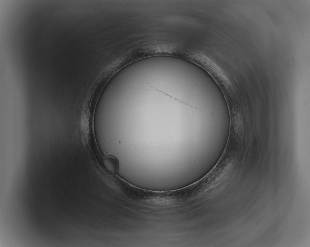 X0000102300537200808011404