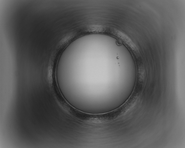 X0000102300538200808011404