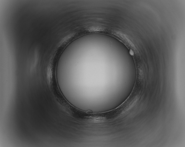 X0000102300539200808011405