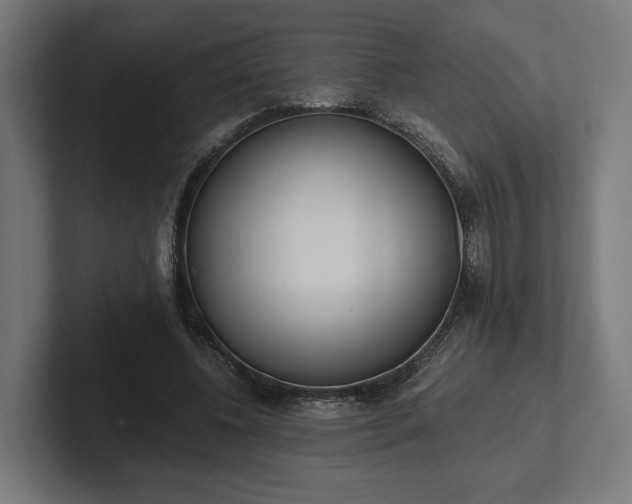 X0000102300540200808011405