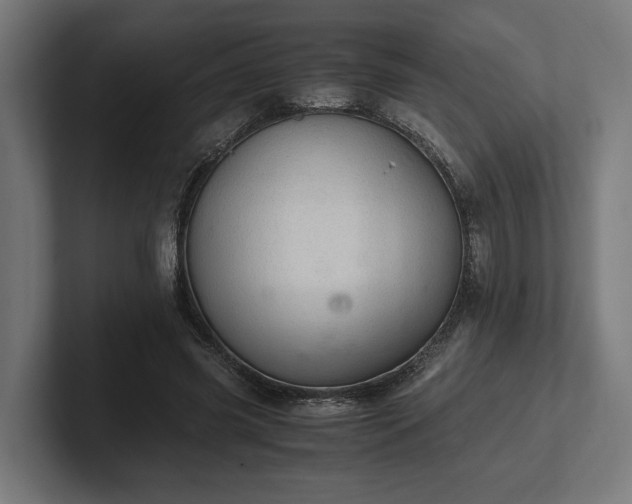 X0000102300541200808011405