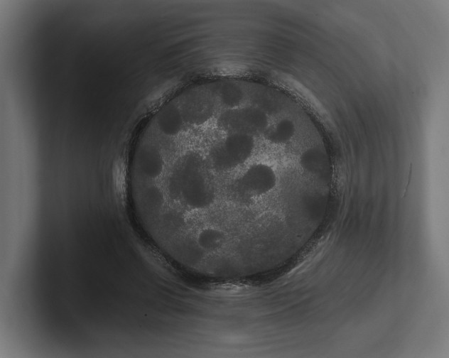 X0000102300542200808011405