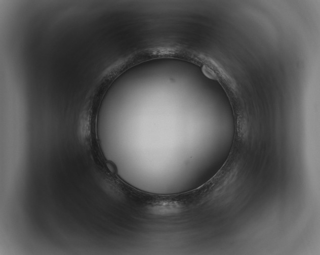 X0000102300543200808011405