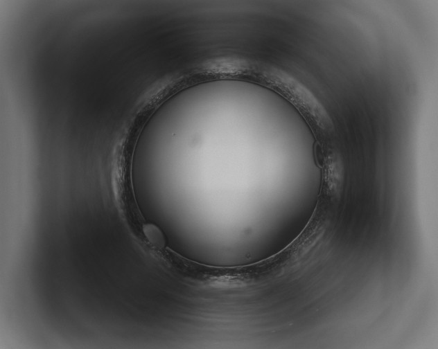 X0000102300544200808011405