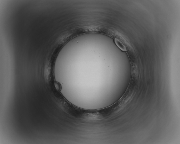 X0000102300548200808011405