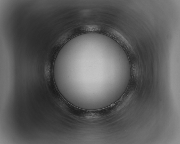 X0000102300549200808011405