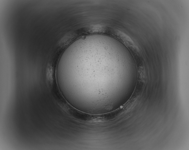 X0000102300550200808011405