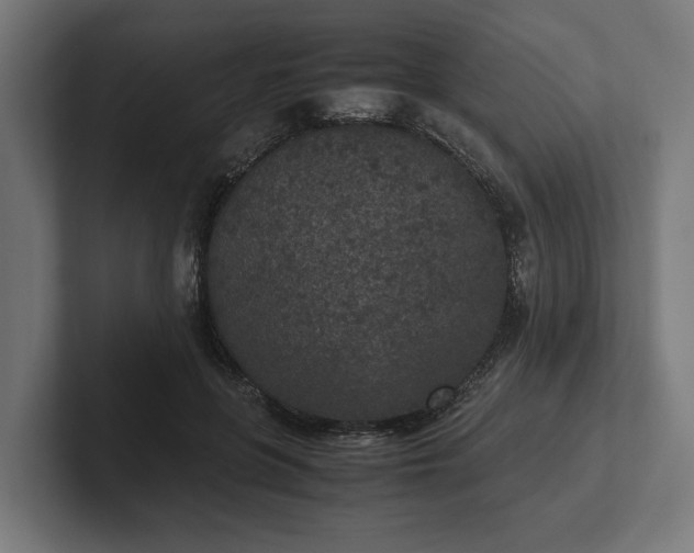 X0000102300551200808011405