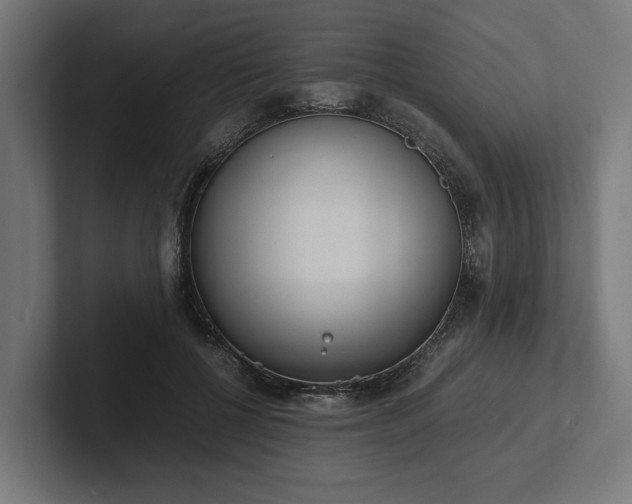 X0000102300552200808011405