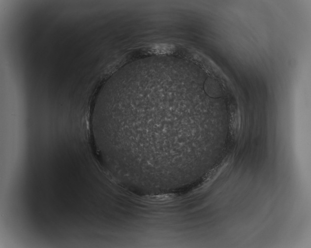 X0000102300553200808011405