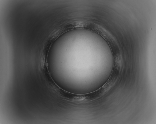 X0000102300554200808011405