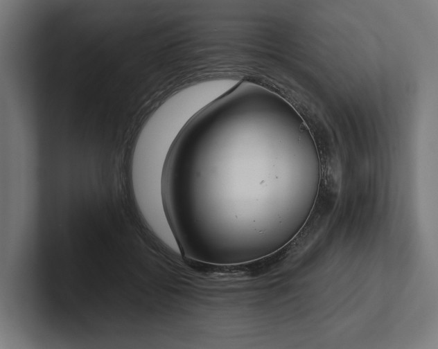 X0000102300556200808011405