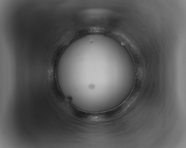 X0000102300557200808011405