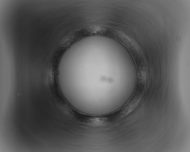 X0000102300558200808011405