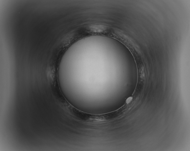 X0000102300559200808011405