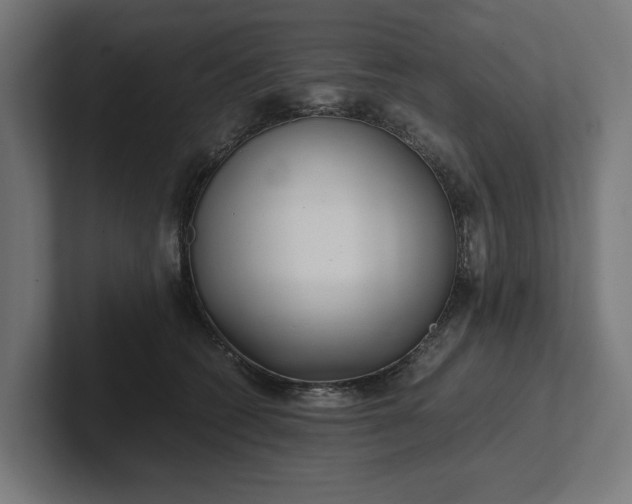 X0000102300562200808011405