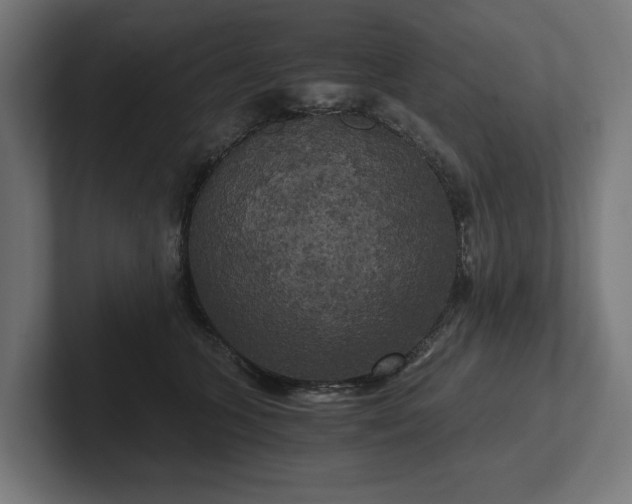 X0000102300563200808011405