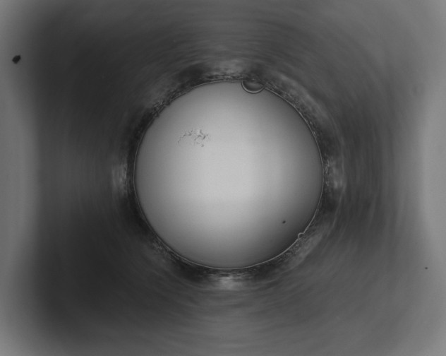 X0000102300564200808011405