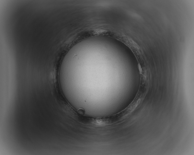 X0000102300565200808011405