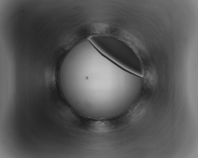 X0000102300566200808011405