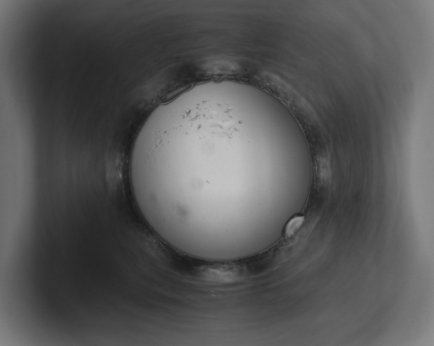 X0000102300567200808011405