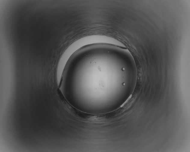 X0000102300568200808011405