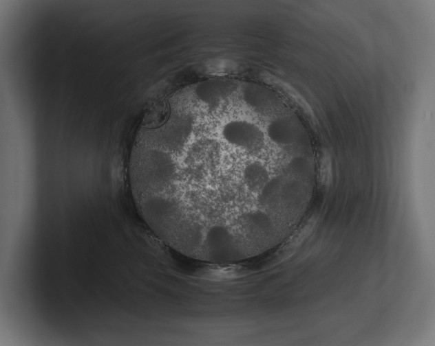 X0000102300569200808011405